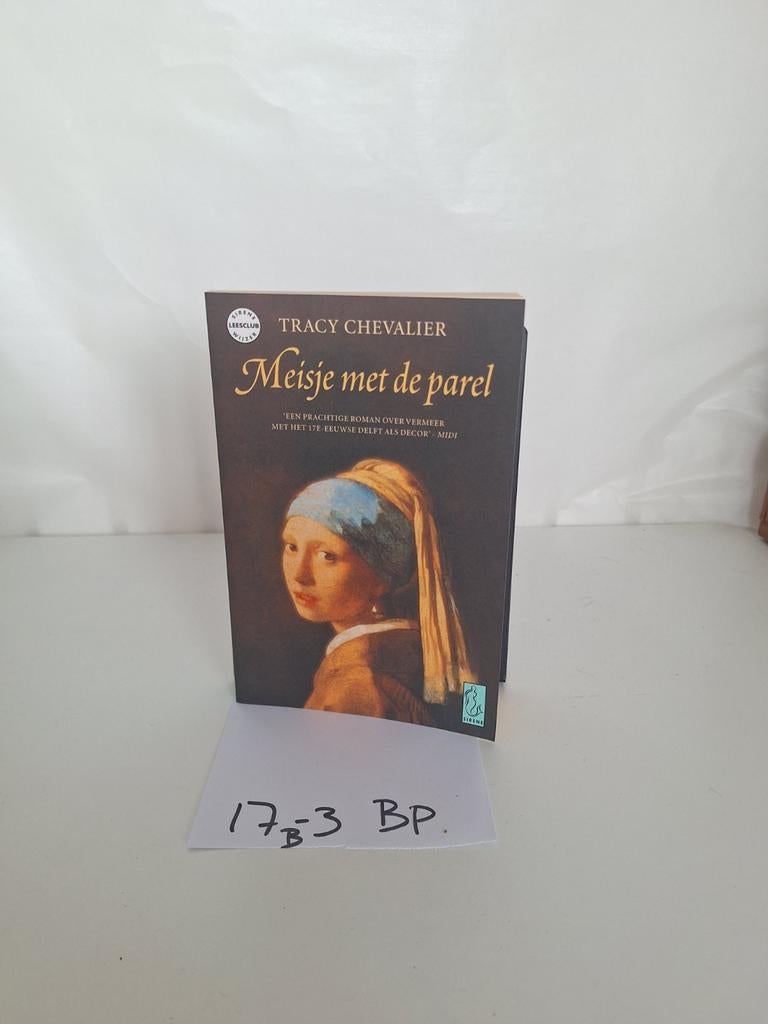 Meisje met de parel - Tracy Chevalier, Boeken, Ophalen of Verzenden, Gelezen, Tracy Chevalier, Nederland