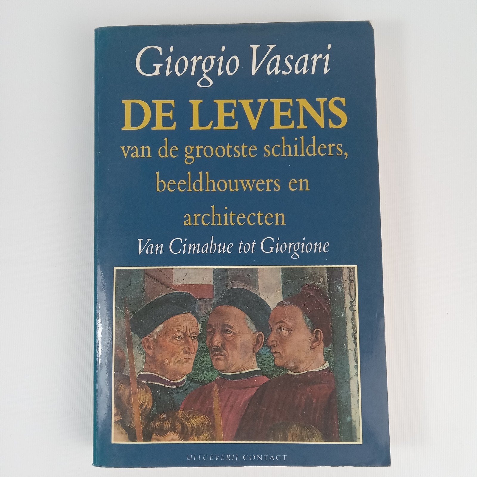 De Levens van de grootste schilders, beeldhouwers, Boeken, Kunst en Cultuur | Beeldend, Gelezen, Schilder- en Tekenkunst, Ophalen of Verzenden