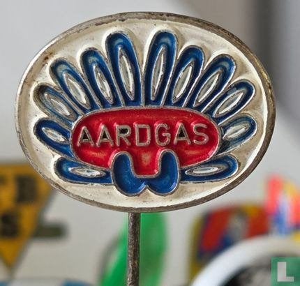 Speldje - aardgas, Ophalen of Verzenden, Zo goed als nieuw, Stad of Land, Speldje of Pin