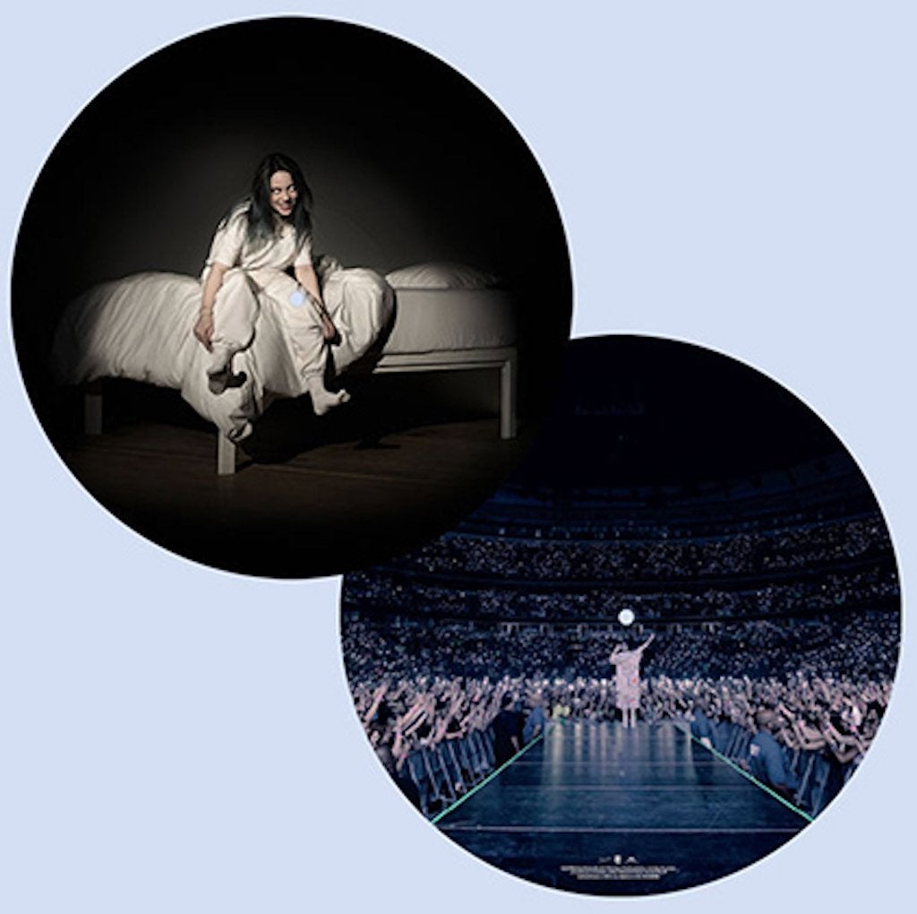 Vinyl LP Billie Eilish When We All Fall PICTURE DISC NIEUW, LP, Pop, Ophalen of Verzenden, 12 inch