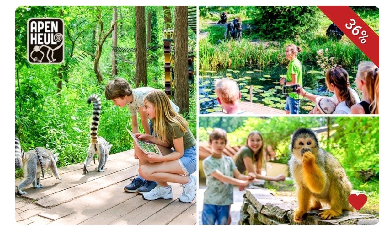 Vandaag naar Apenheul!, Tickets en Kaartjes, Eén persoon, Ticket of Toegangskaart