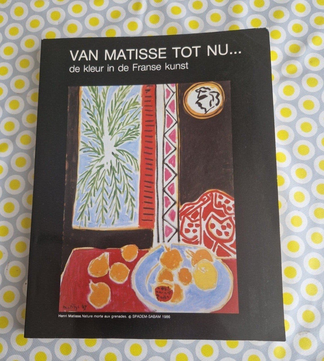 Van Matisse tot nu... de kleur in de Franse kunst, Ophalen of Verzenden, Gelezen, Schilder- en Tekenkunst, Henry-Claude Cousseau, Yves Michaud, Georges Roque
