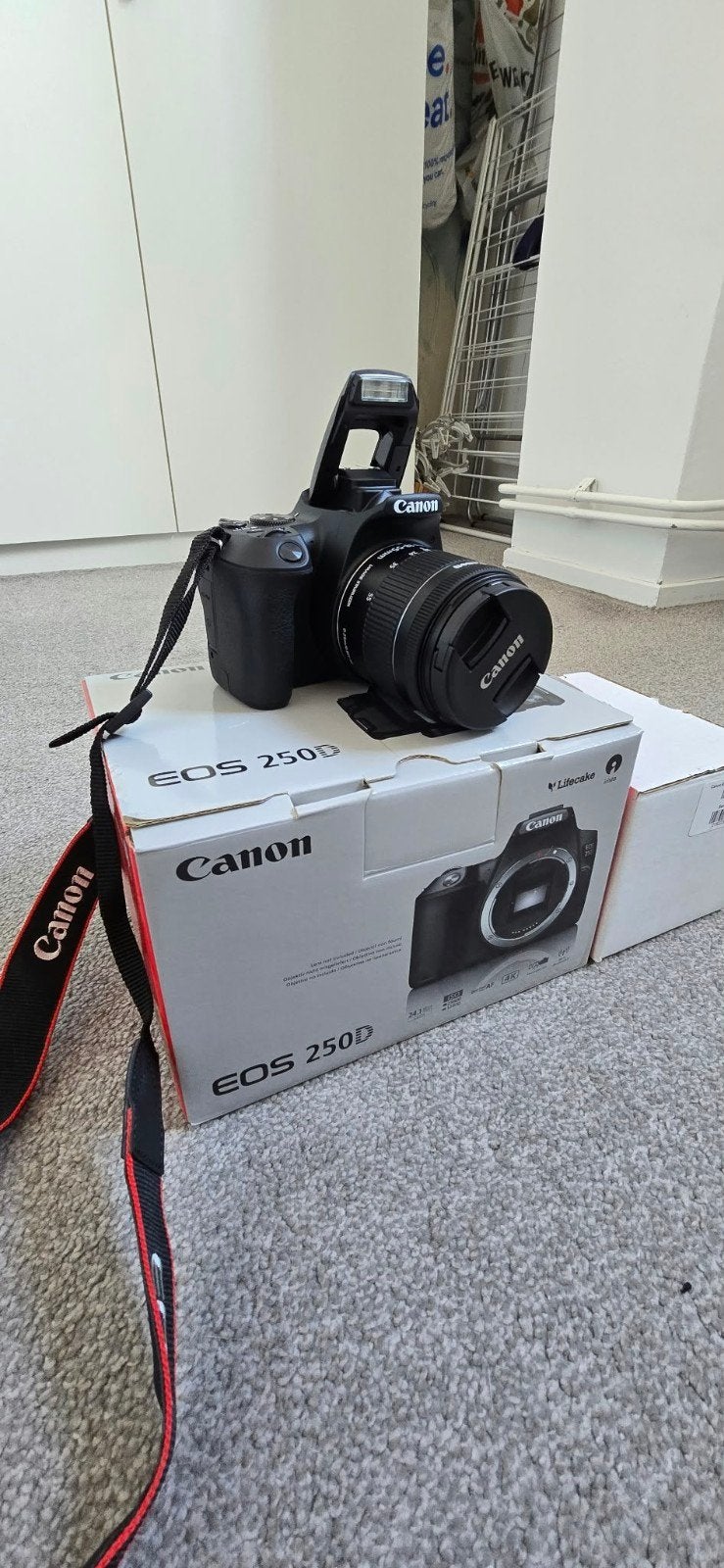 Canon EOS 250D + EF-S 18-55mm lens, Ophalen, Spiegelreflex, Canon, Accu