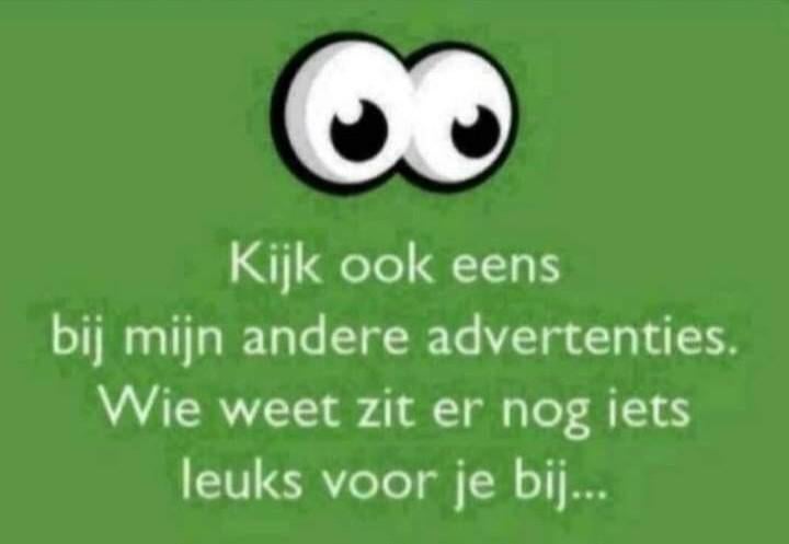 Diverse piraten singels, Ophalen of Verzenden, Zo goed als nieuw, Overige formaten, Levenslied of Smartlap