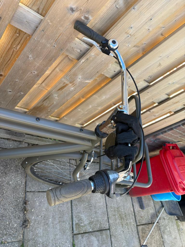 Groene Popal transportfiets met voordrager, Fietsen en Brommers, Fietsen | Dames | Damesfietsen, Velgrem, Versnellingen, Ophalen