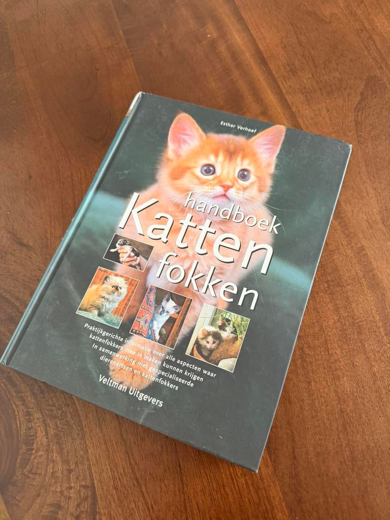Esther Verhoef - Handboek katten fokken, Ophalen of Verzenden, Zo goed als nieuw, Katten, Esther Verhoef