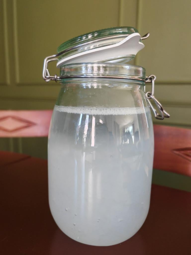 Waterkefir korrels, Ophalen