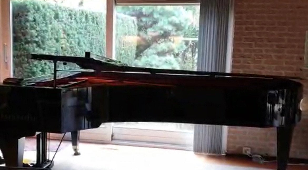 Bosendorfer (concert)vleugel,  prachtige klank, Muziek en Instrumenten, Piano's, Ophalen, Zwart, Zo goed als nieuw, Hoogglans