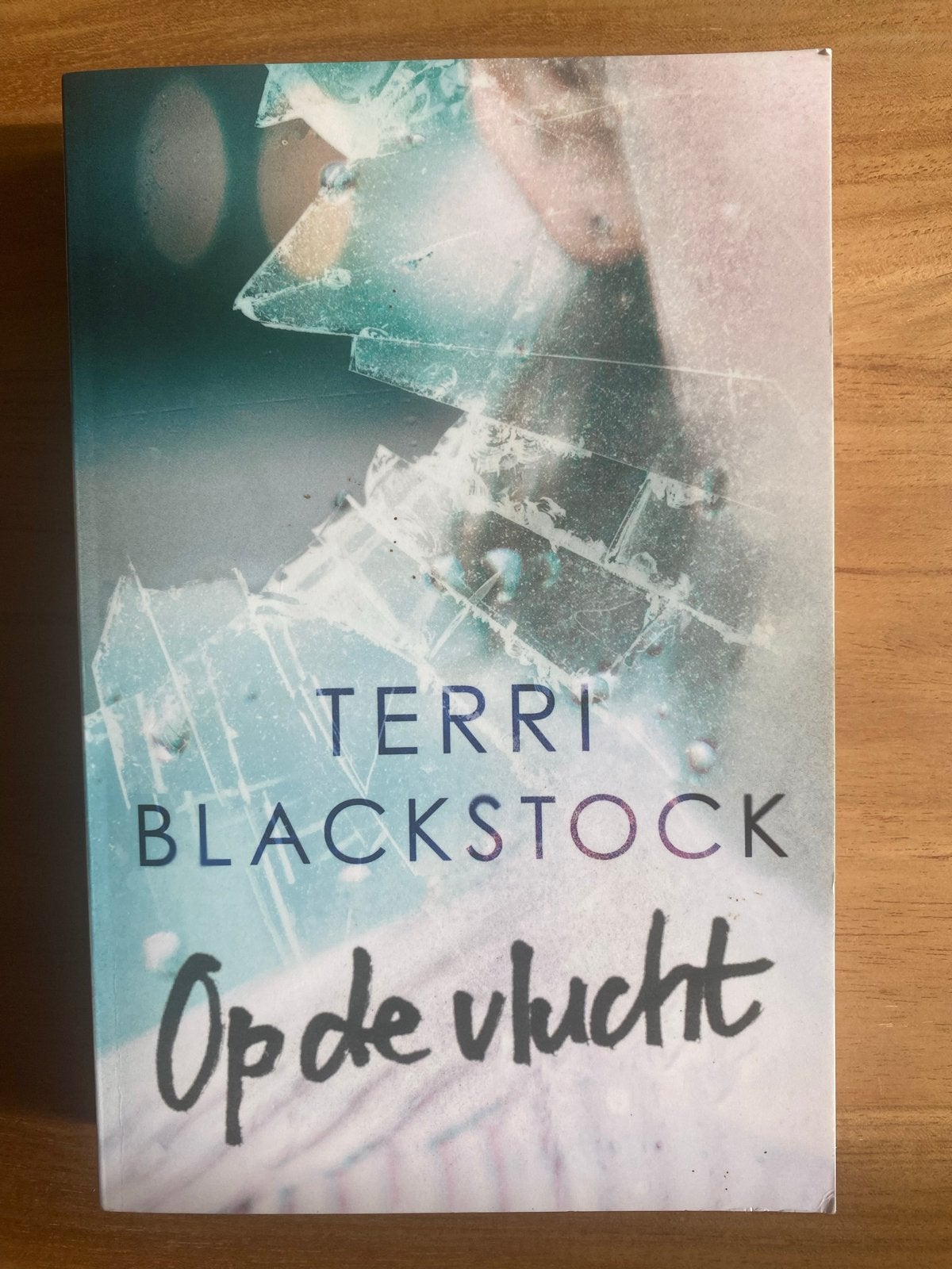 Op de vlucht - Terri Blackstock (thriller), Boeken, Romans, Zo goed als nieuw, Nederland, Ophalen of Verzenden