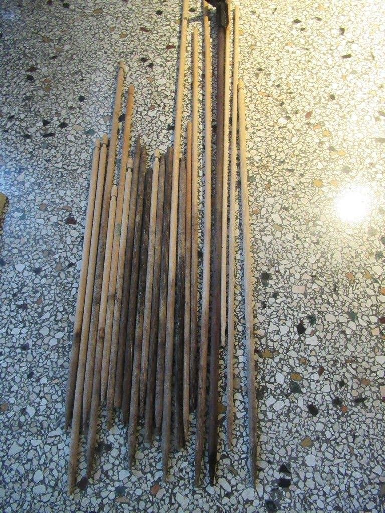 21 x plantenstok SPLITBAMBOE / kamerplanten, Huis en Inrichting, Ophalen of Verzenden, Overige soorten, Halfschaduw, Minder dan 100 cm