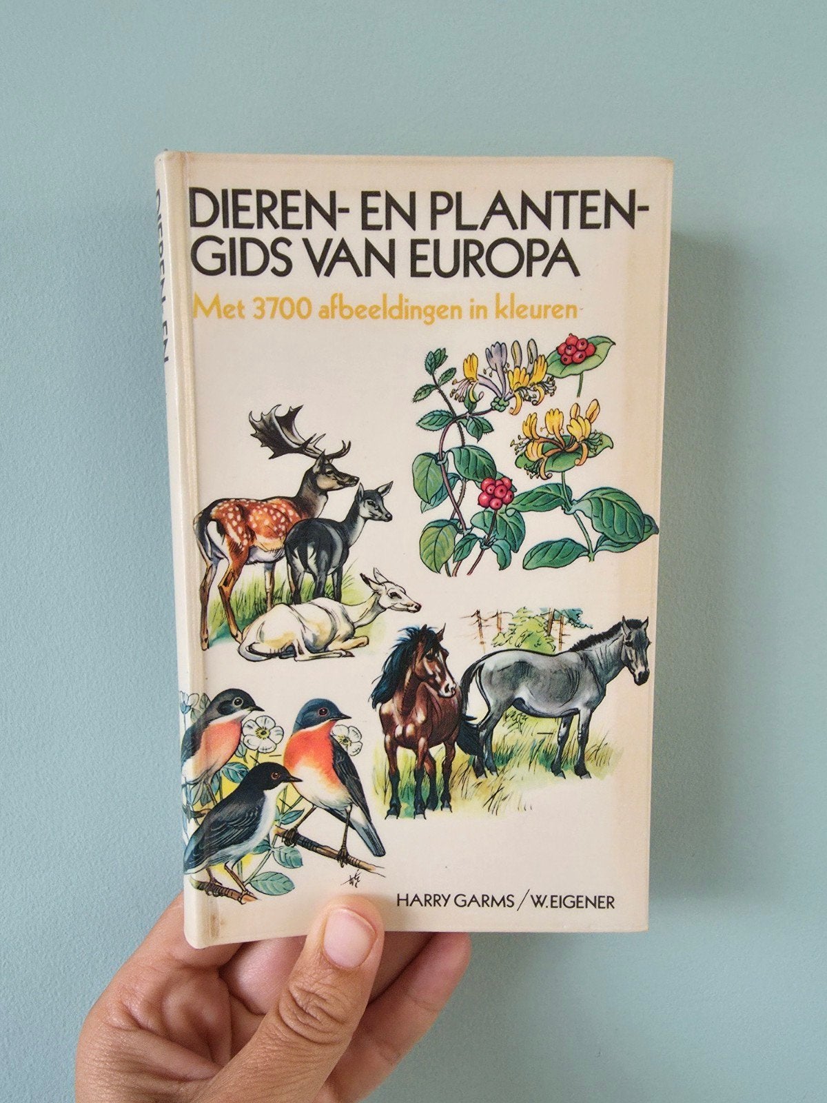 Dieren- en plantengids van Europa, natuurgids van Elsevier, Ophalen of Verzenden, Zo goed als nieuw, Natuur algemeen