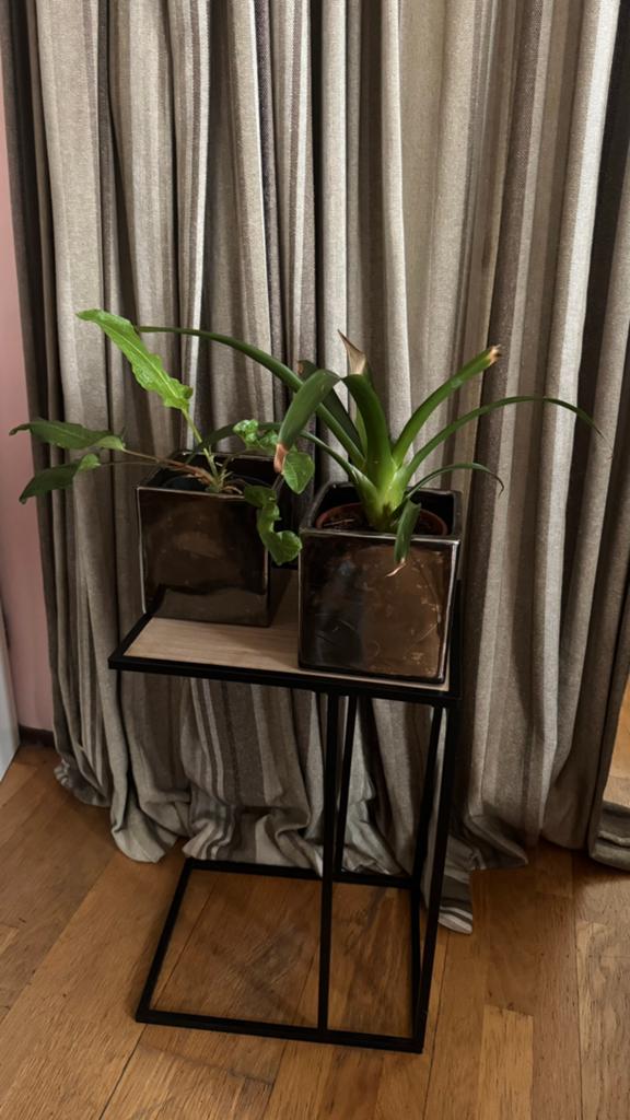 2 bloempotten metallic grijs zilverkleur vierkant + plant, Ophalen of Verzenden, Halfschaduw, Minder dan 100 cm