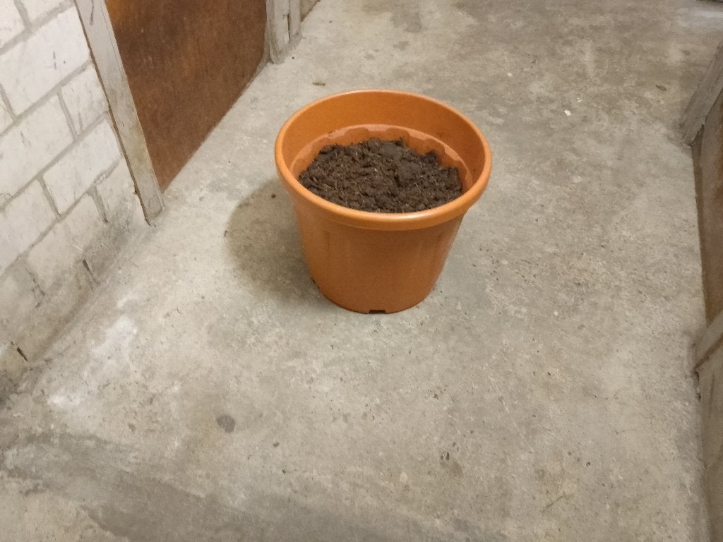 Grote plantenpot / kuip 30-40 cm met aarde, Kunststof, Gebruikt, Rond, Minder dan 40 cm