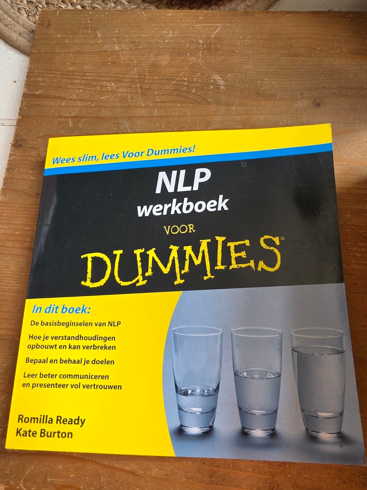 NLP Werkboek Voor Dummies - Romilla Ready & Kate Burton, Ophalen of Verzenden