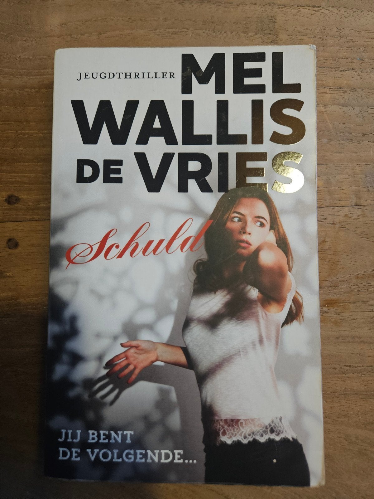Jeugdthriller: Schuld - Mel Wallis de Vries, Ophalen of Verzenden, Gelezen, Mel Wallis de Vries, Nederland