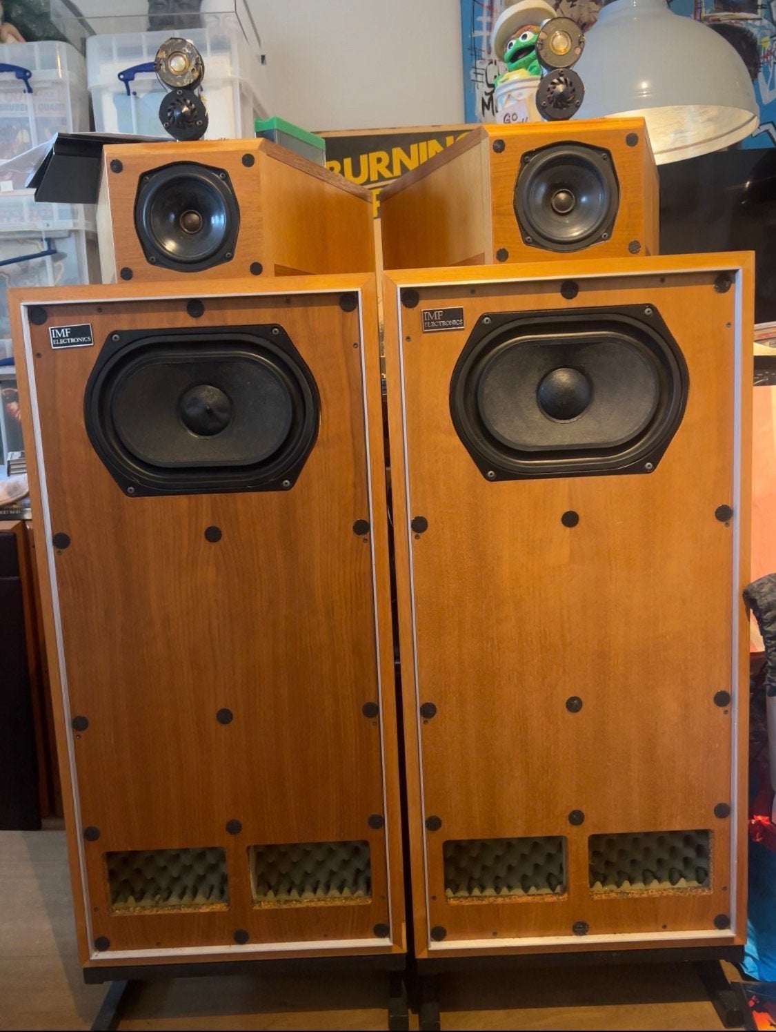 IMF Electronics SACM – High-End Transmission Line Speakers, Audio, Tv en Foto, Luidsprekers, Gebruikt, 120 tot 150 watt, Speakerset