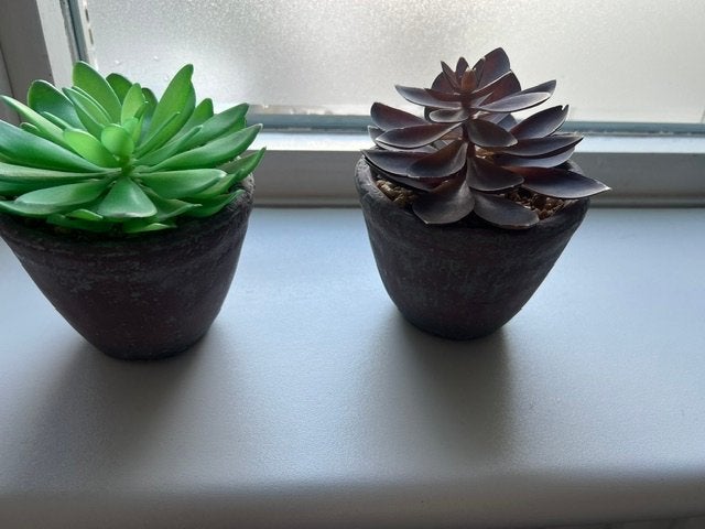 2 Vetplantjes met stenen pot, Steen, Minder dan 30 cm, Ophalen of Verzenden, Zo goed als nieuw