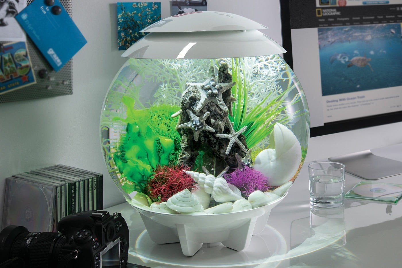 Biorb Halo wit aquarium compleet Led lamp rgb pomp en filter, Vissenkom, Inclusief controller, Overige merken, Ophalen of Verzenden