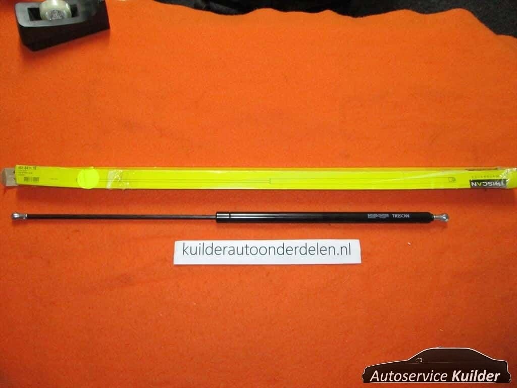 Gasveer Kofferklep Renault Kangoo Nissan Kubistar  TRISCAN N, -, Renault, -, Nieuw