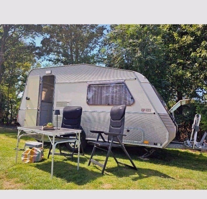 Mooie originele kip grey line 40 ek1991, Disselslot, Rondzit, Kip, Bedrijf