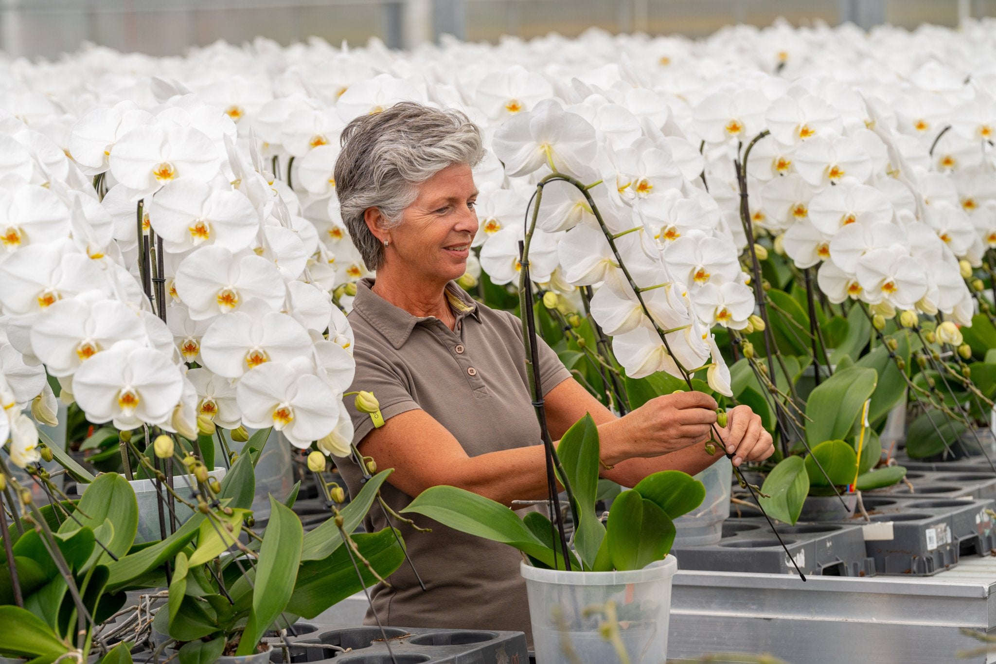 Teamleider productie, Vacatures, Vacatures | Landbouw, Natuur en Milieu, 33 - 40 uur, MBO, Tijdelijk contract