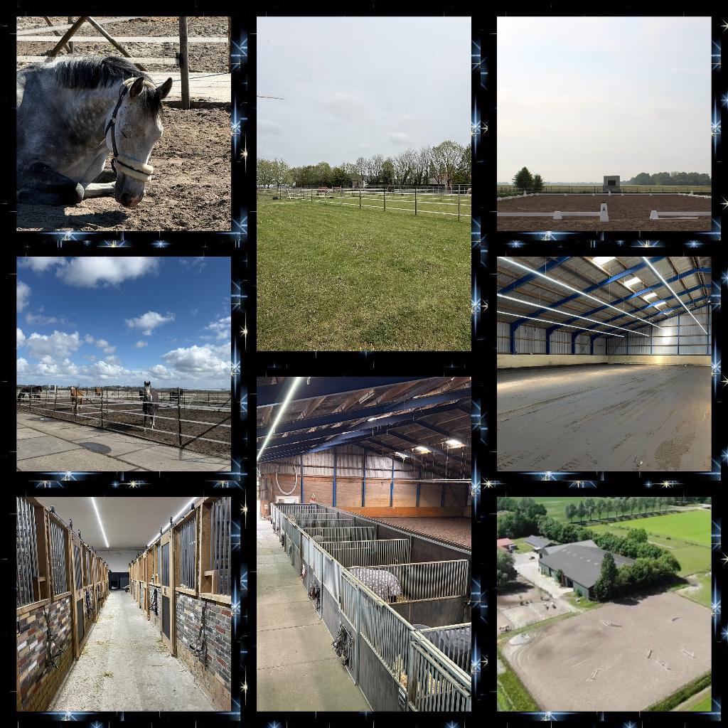 Stalling beschikbaar, Dieren en Toebehoren, Stalling en Weidegang, Stalling, 2 of 3 paarden of pony's