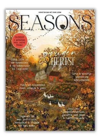 magazines VT-wonen LANDLEVEN SEASONS tijdschriften maandblad, Ophalen of Verzenden, Zo goed als nieuw, Overige typen