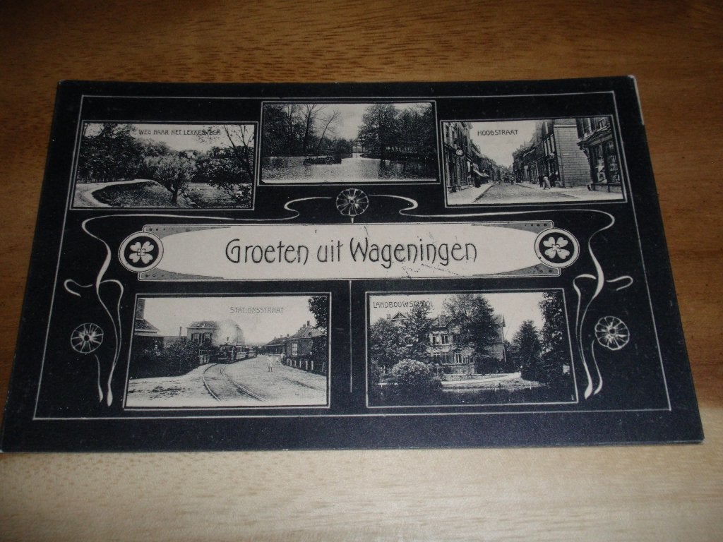 5 Luik Wageningen  Uitg Nauta, Verzenden, Voor 1920, Gelopen, Gelderland