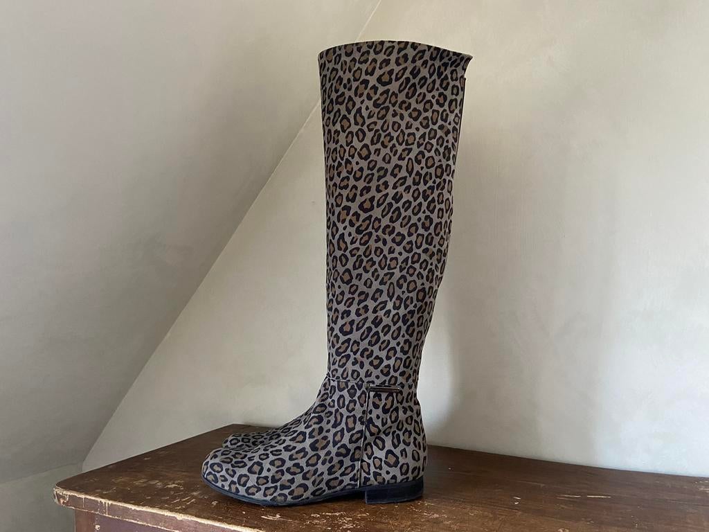 Roberto d’Angelo laarzen MT39,5, Kleding | Dames, Schoenen, Hoge laarzen, Overige kleuren, Ophalen of Verzenden, Roberto d'Angelo