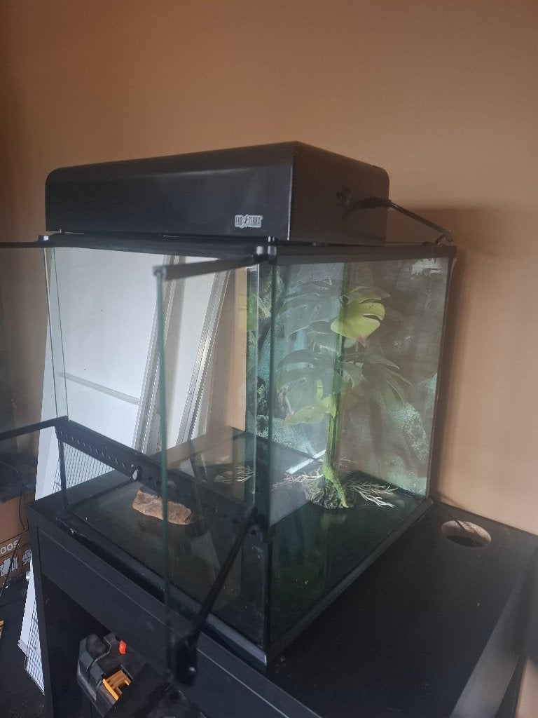 Terrarium, Ophalen, Zo goed als nieuw, Terrarium of Paludarium