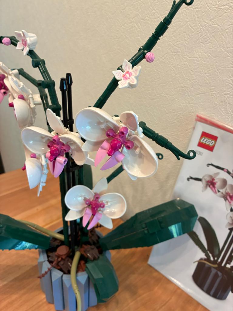 LEGO Botanische Collectie Orchidee 10311, Kinderen en Baby's, Speelgoed | Duplo en Lego, Ophalen, Zo goed als nieuw
