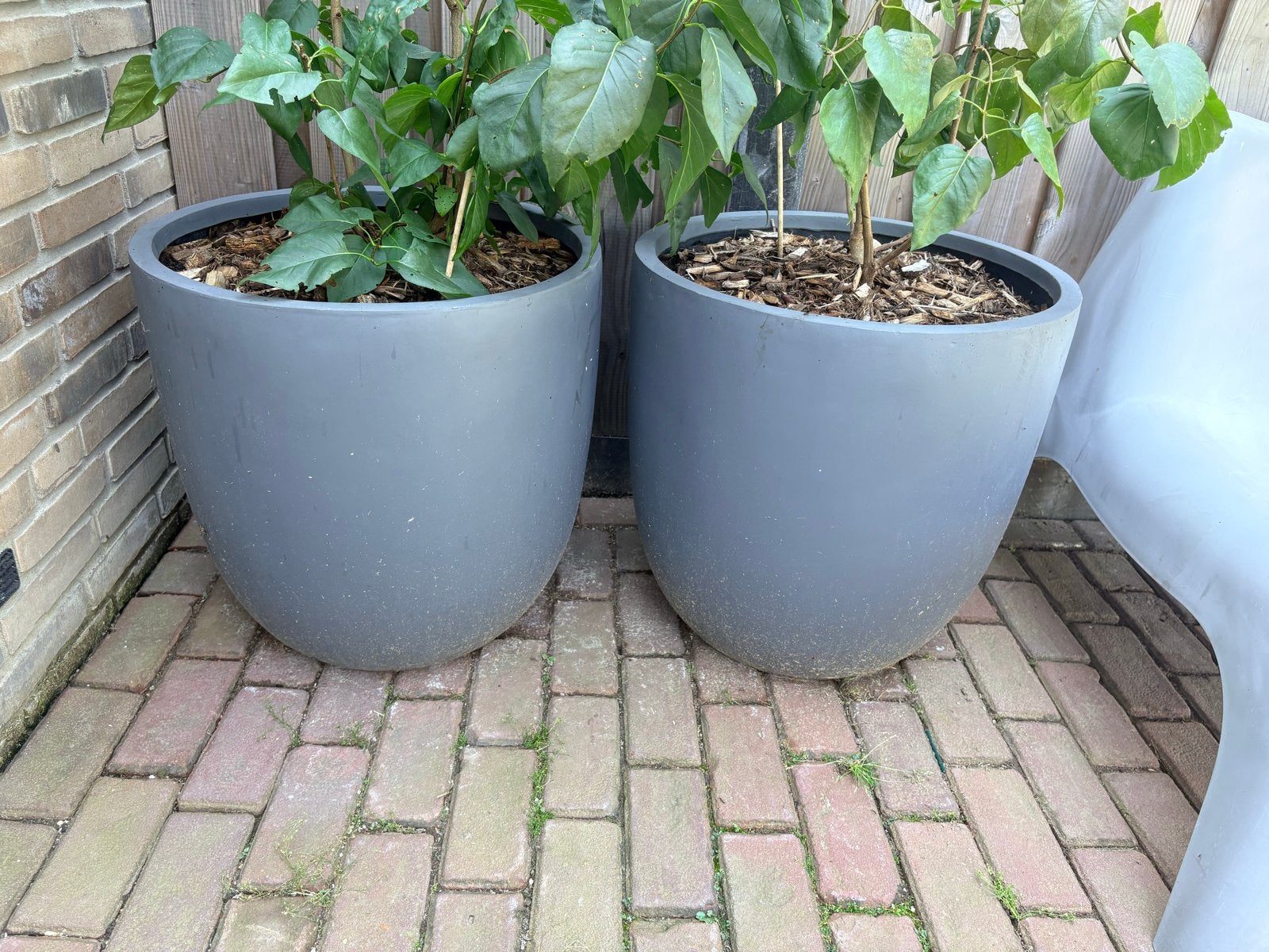 Set van 2 grote betonlook bloempotten, Tuin en Terras, Bloempotten, Ophalen, Gebruikt, Balkon, 40 cm of meer