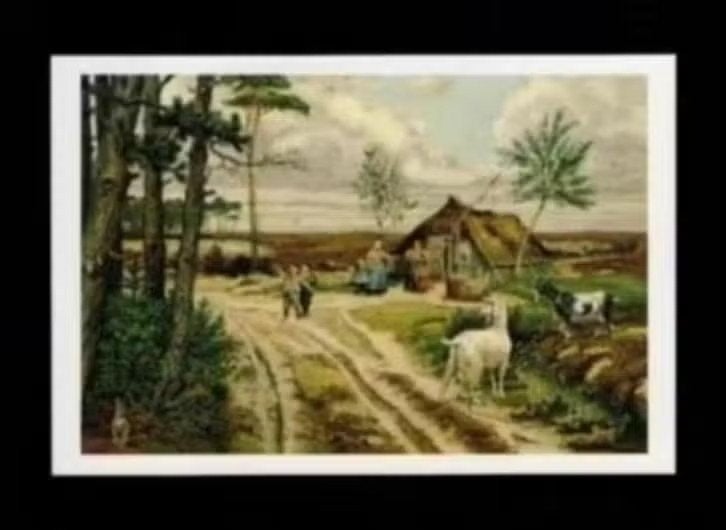 Ansichtkaart Schoolplaat De Heide in Mei, C. Jetses., Ophalen of Verzenden, 1980 tot heden, Ongelopen, Overige soorten