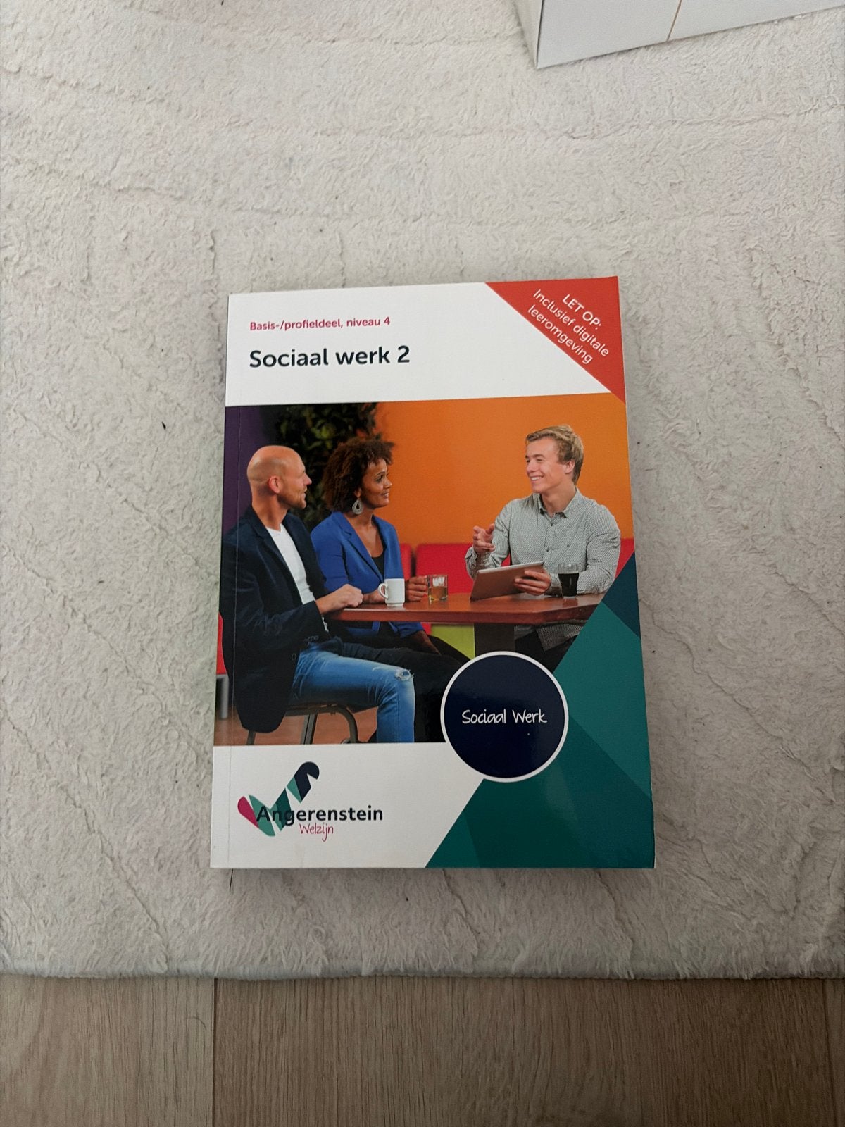 Sociaal Werk 2 - Basis-/profieldeel, niveau 4, Boeken, Ophalen of Verzenden, Gamma, Zo goed als nieuw, MBO