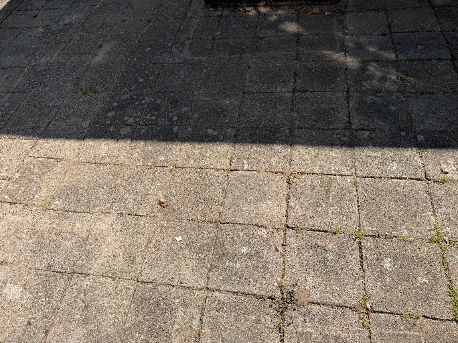 Tegels 30x30 (700+ stuks) gratis, Tuin en Terras, Ophalen, Zo goed als nieuw, Beton, Terrastegels