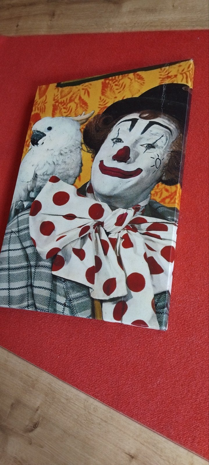 PIPO CANVAS, Ophalen, Gebruikt, Schilderij