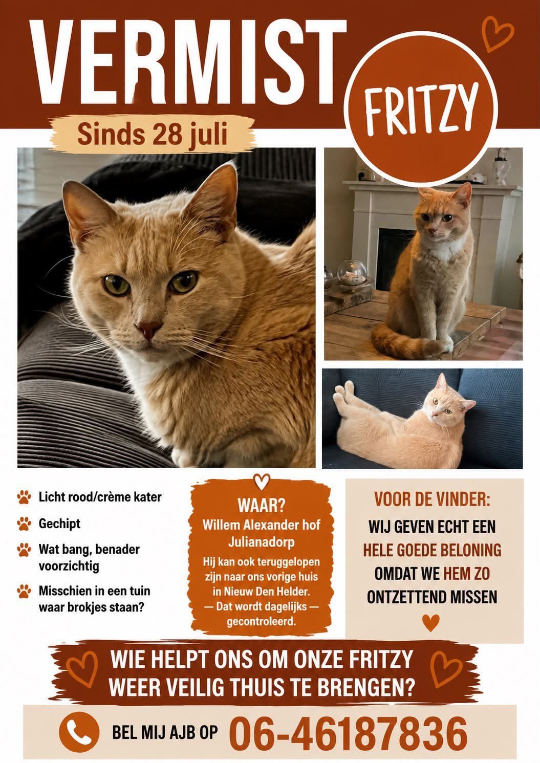 Vermist onze Fritzy, Dieren en Toebehoren, Kat