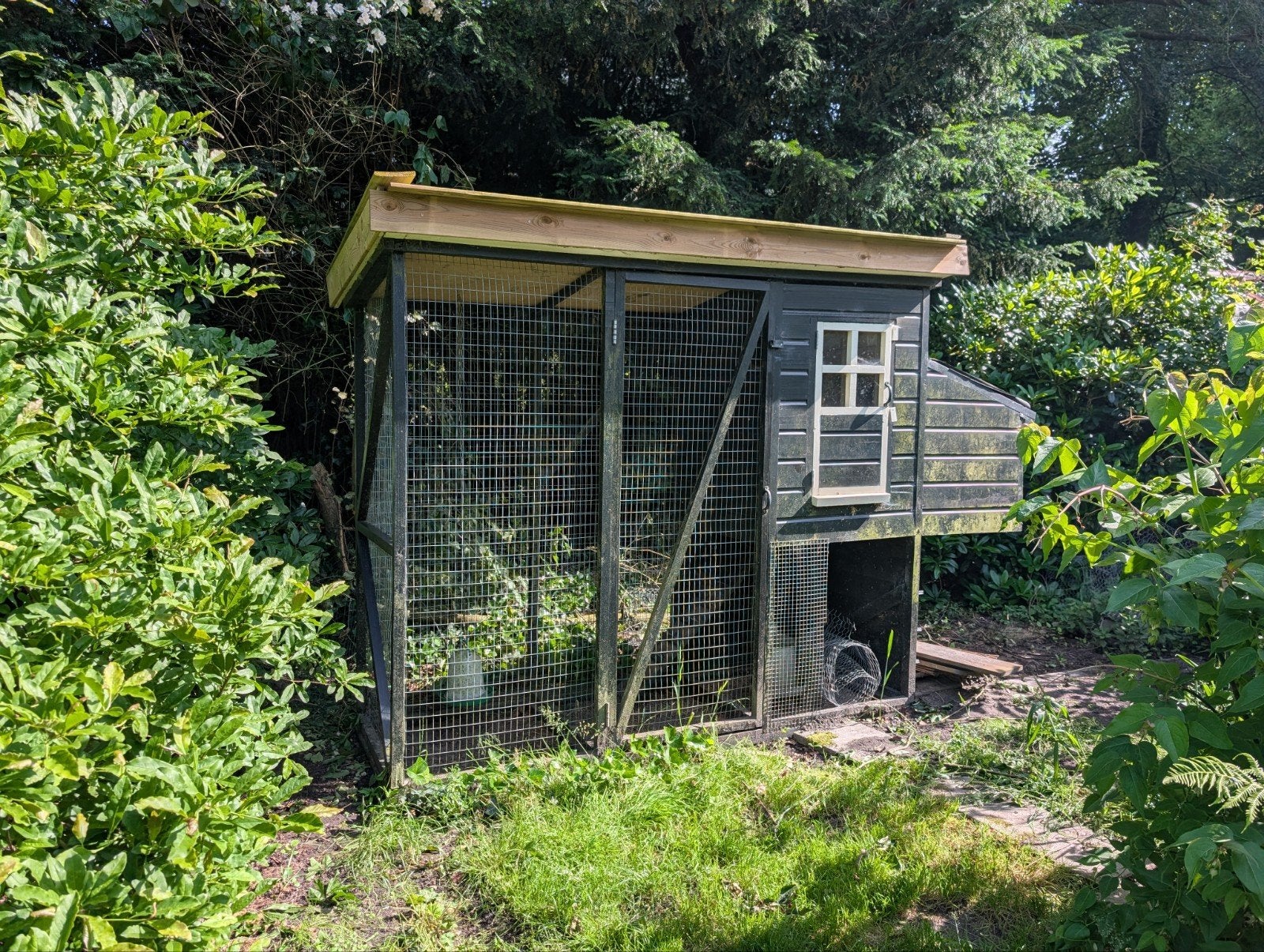 Kippenhok gratis, Dieren en Toebehoren, Ophalen, Kippenhok of Kippenren
