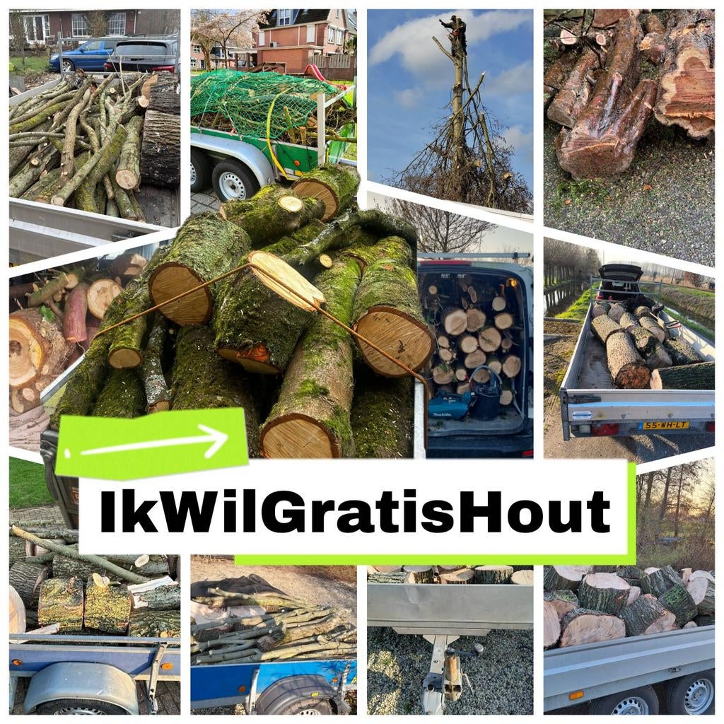 Gratis haardhout en stammen af te halen in TIEL, 3 tot 6 m³, Ophalen, Overige houtsoorten, Stammen