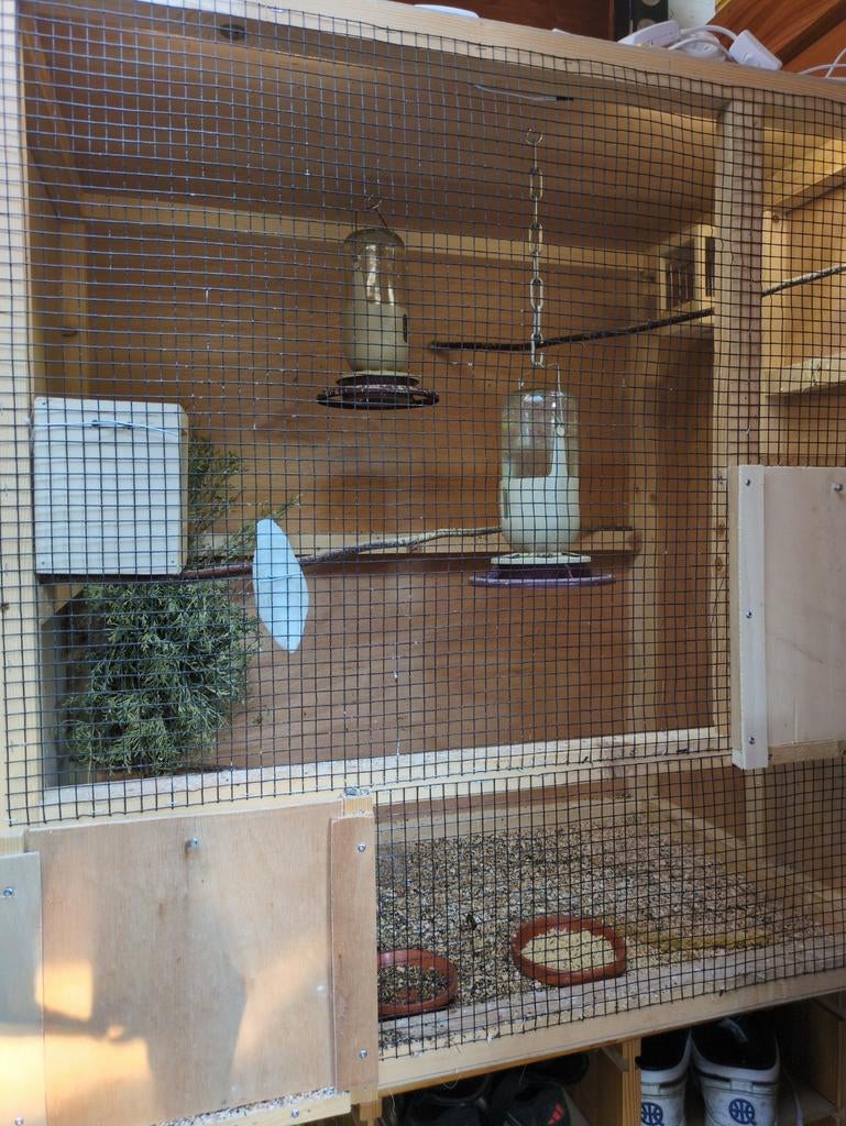 Houten vogelkooi te koop, Dieren en Toebehoren, Vogels | Hokken en Kooien, Ophalen, Gebruikt, Hout, Vogelkooi