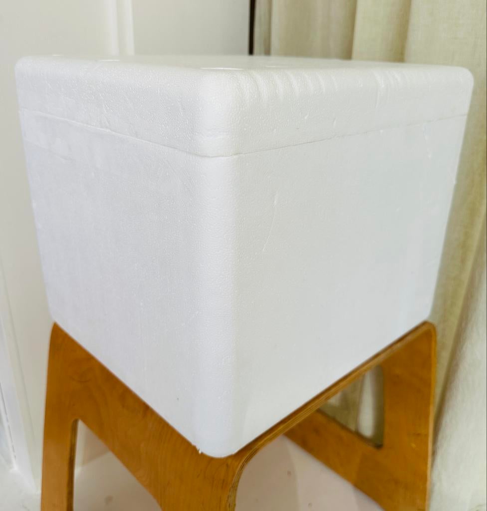 EPS Box | Piepschuim doos 40x30x30cm | koelbox, Minder dan 35 cm, Minder dan 50 cm, Ophalen of Verzenden, Minder dan 40 cm