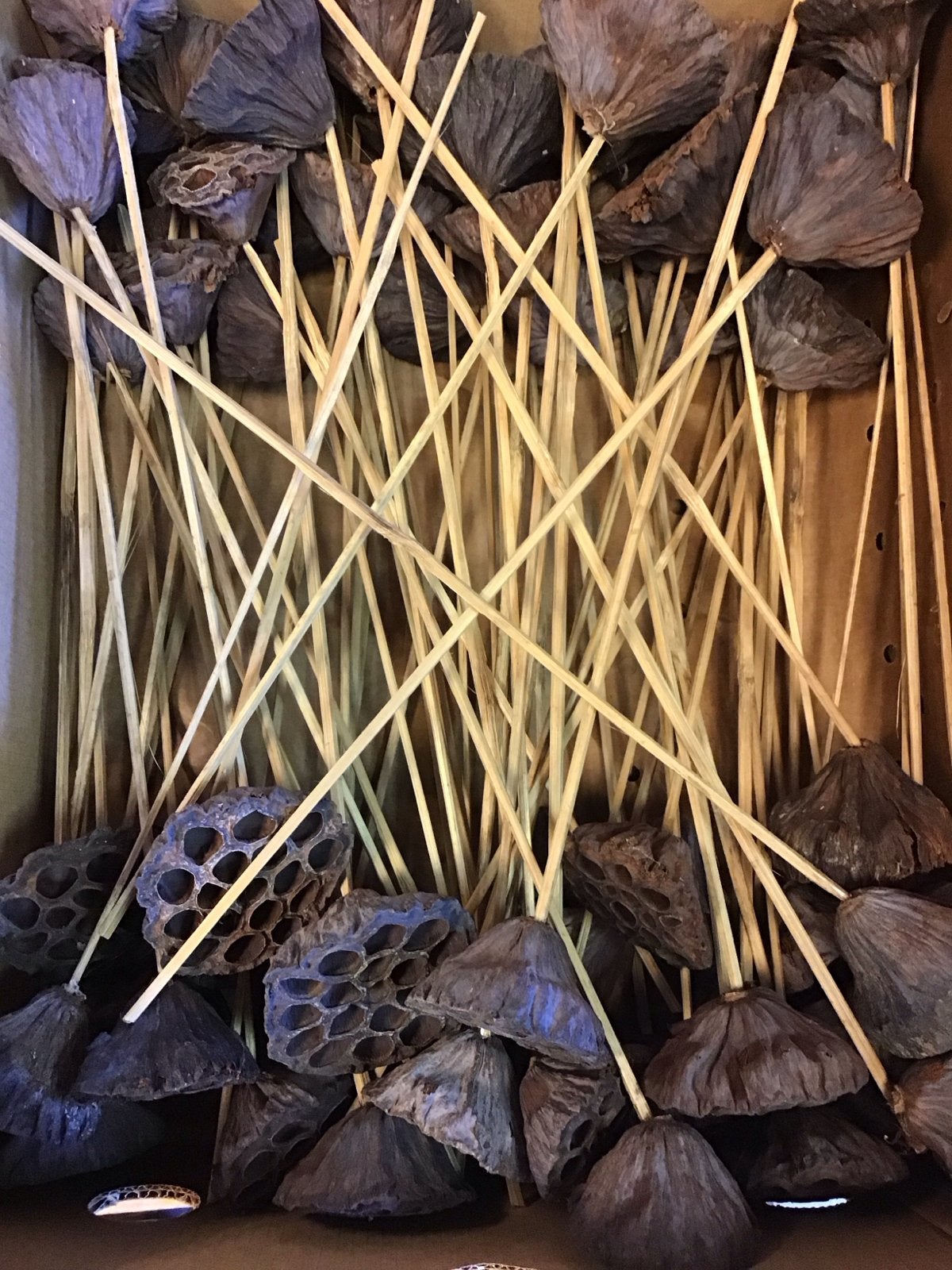 Gedroogde Lotus Bloemen op Stok - Decoratie, Huis en Inrichting, Nieuw, Ophalen of Verzenden, Landelijk, Natuurlijk materiaal