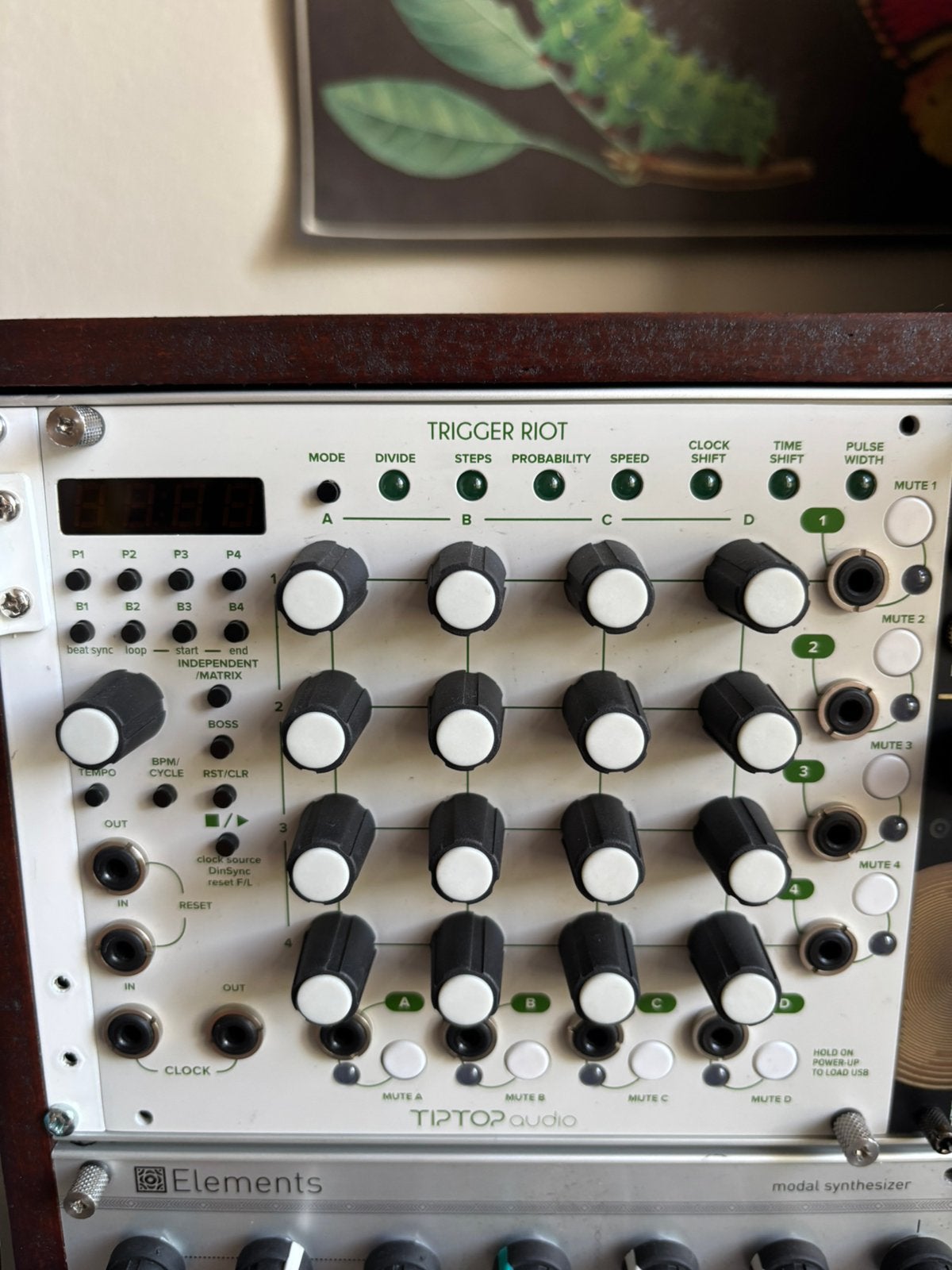 Tiptop Audio Trigger Riot, Muziek en Instrumenten, Ophalen of Verzenden, Zo goed als nieuw