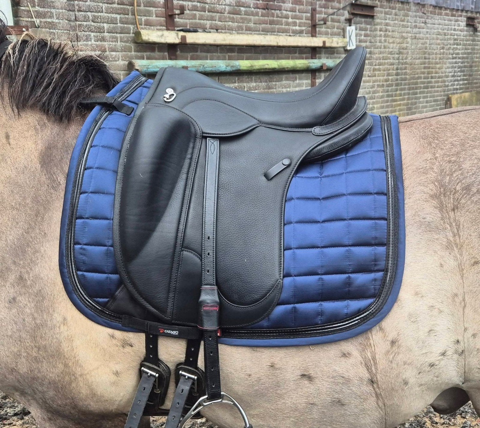 Signum dressuur paddle maat 2 (ruilen jc cloud of signum), Dieren en Toebehoren, Paarden en Pony's | Zadels, Ophalen, Zo goed als nieuw