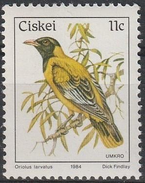 1802. Ciskei 56 pfr. Vogel, Ophalen of Verzenden, Zuid-Afrika, Postfris