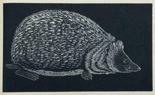 Mooie kunst bij het Grafiekkabinet Fritz Lang, Ophalen of Verzenden
