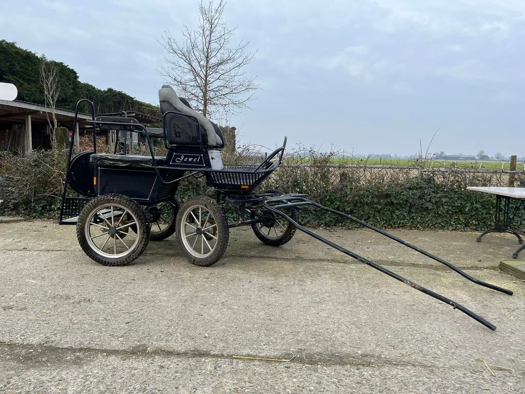 Marathonwagen – geschikt voor grote pony/paard en dubbelspan, Ophalen, Overige soorten