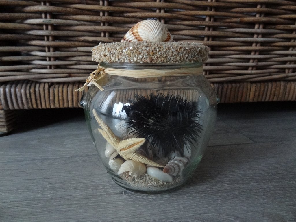 Decoratiepotje Schelpen >Snelle Verzending!<, Ophalen of Verzenden, Zo goed als nieuw, Glas
