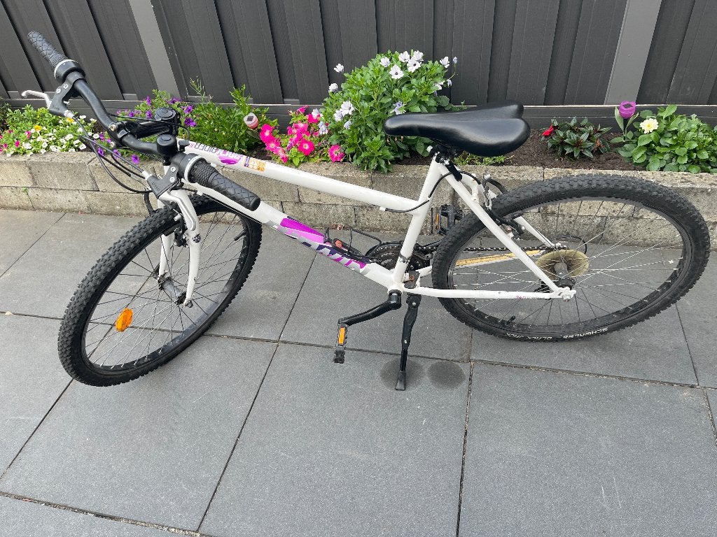 Mountainbike, Fietsen en Brommers, Gebruikt, Velgrem, Dames, Ophalen