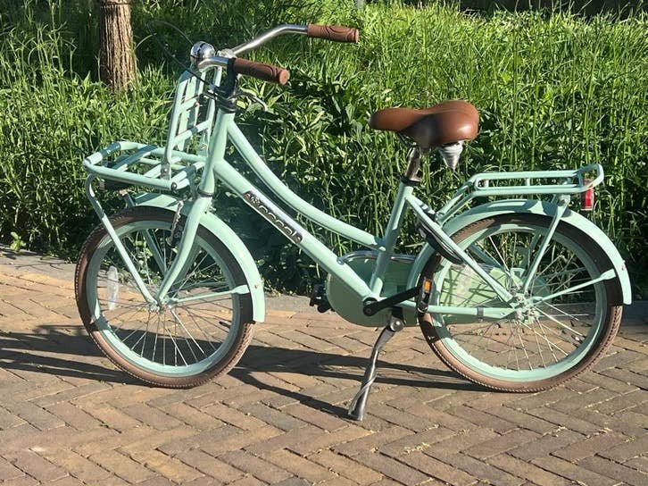 Popal 20 inch transportfiets - Mintgroen, Ophalen, Gebruikt, Terugtraprem, 20 inch of meer